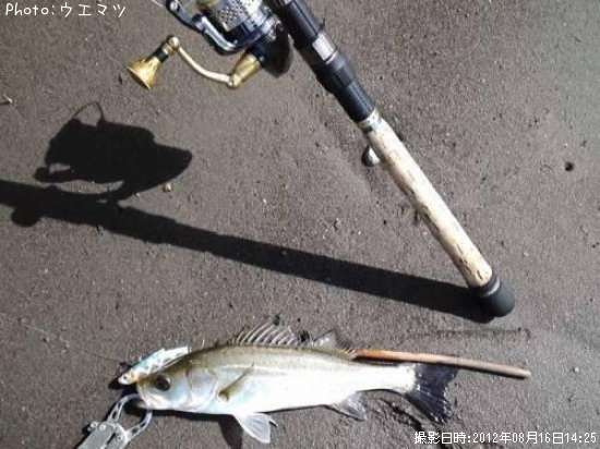 �����Х�