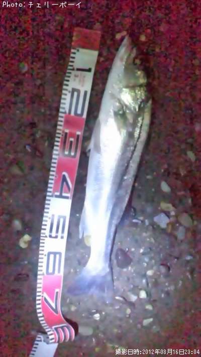 �����Х�