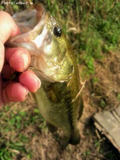 �֥�å��Х�