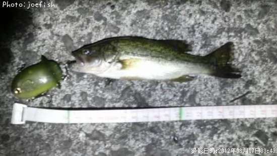 �֥�å��Х�