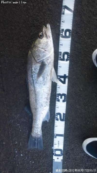 �����Х�