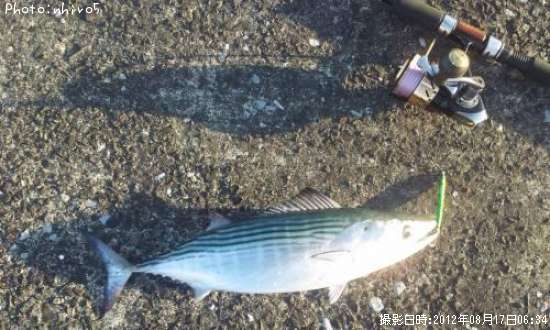 �����ĥ�