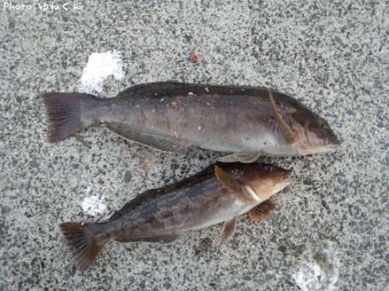 �����ʥ�