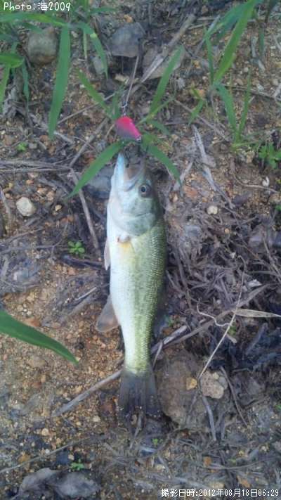 �֥�å��Х�