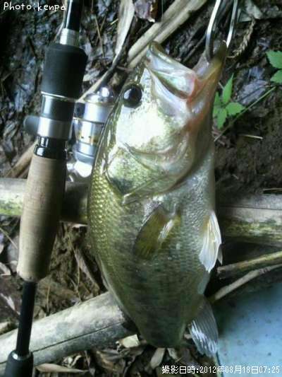 �֥�å��Х�