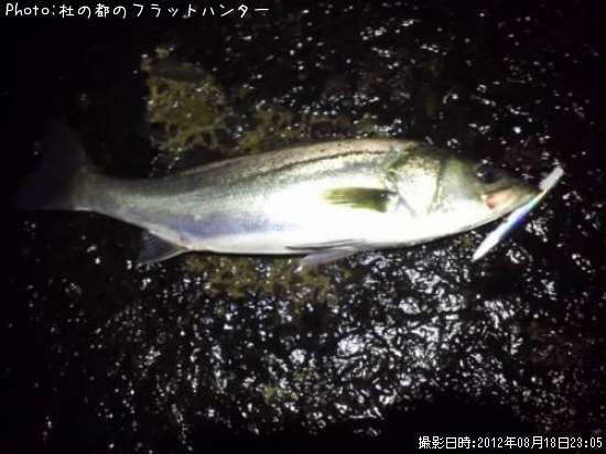 �����Х�