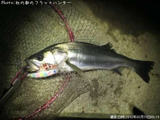 �����Х�