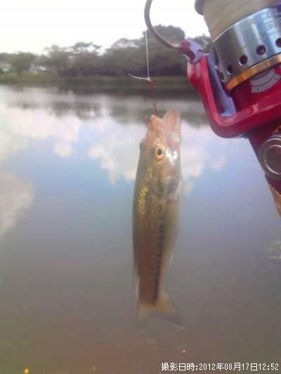 �֥�å��Х�