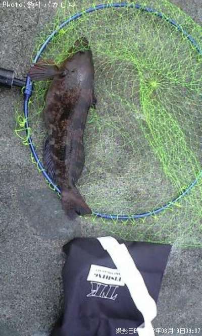 �����ʥ�