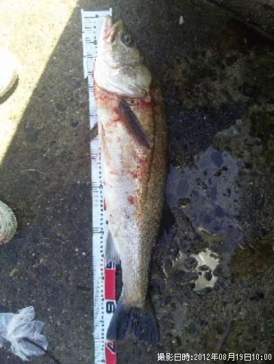 �����Х�