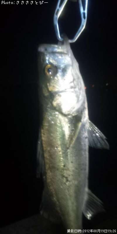 �����Х�����Х�