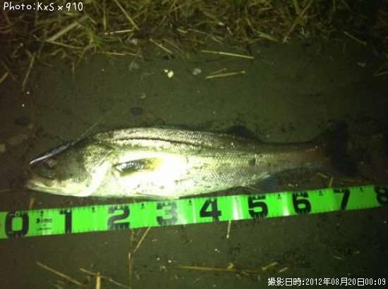 �����Х�