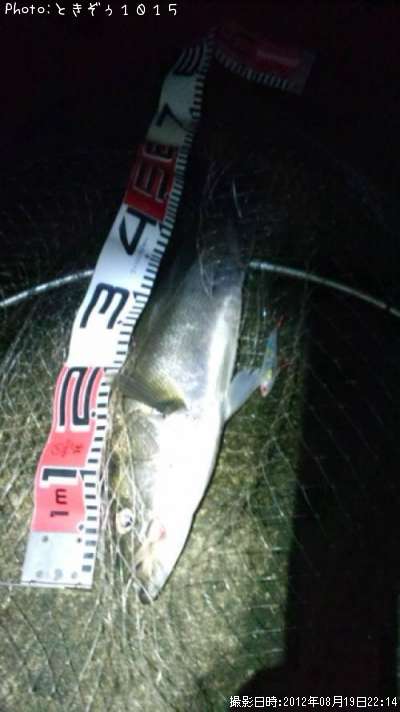 �����Х�