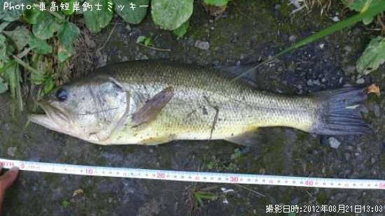 �֥�å��Х�