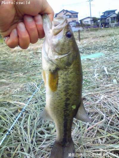 �֥�å��Х�