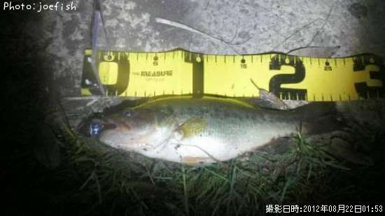 �֥�å��Х�