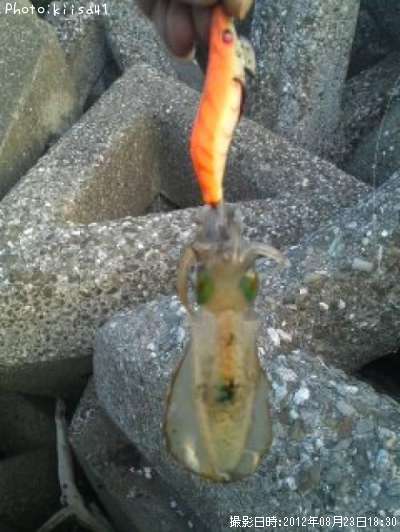 �����ꥤ��