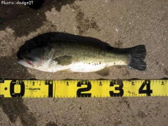 �֥�å��Х�