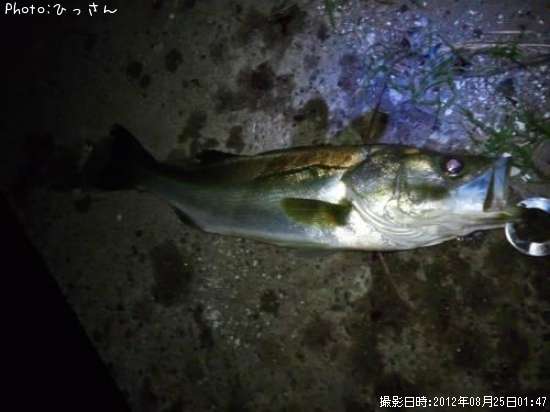 �����Х�