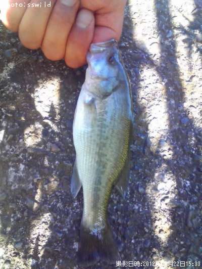 �֥�å��Х�