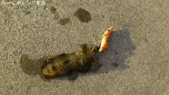 �����ꥤ��