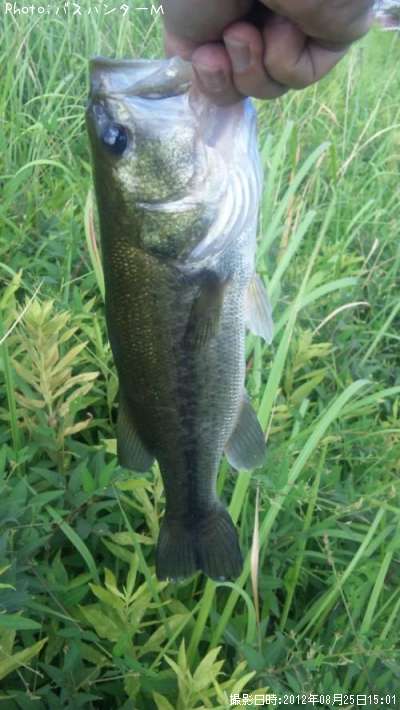 �֥�å��Х�