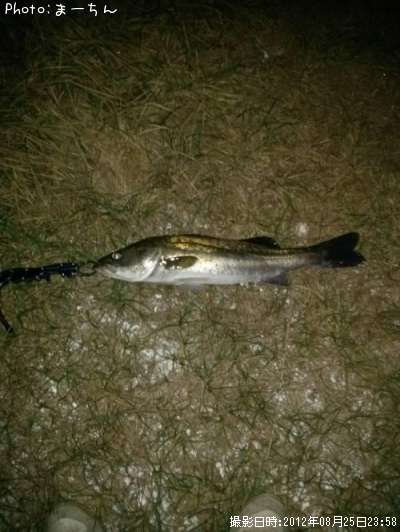 �����Х�