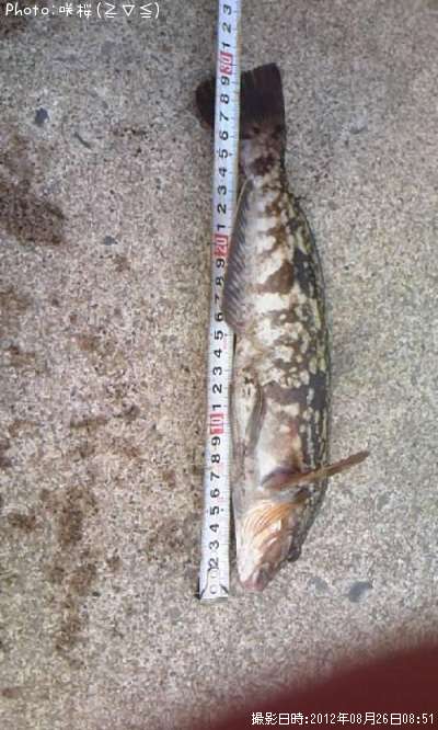 �����ʥ�