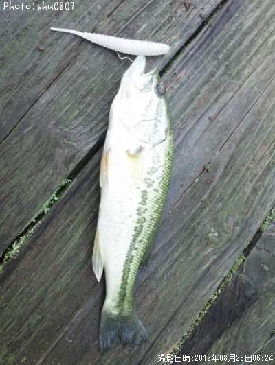 �֥�å��Х�