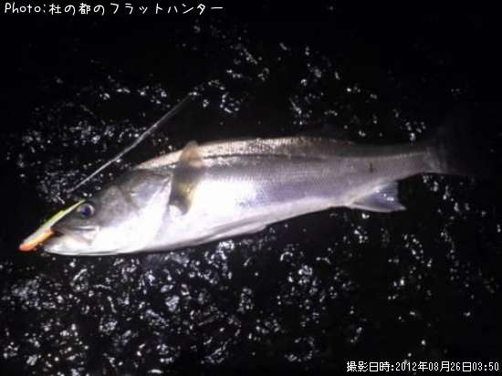 �����Х�