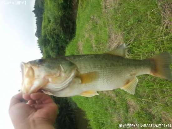 �֥�å��Х�