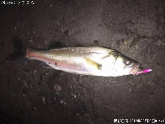 �����Х�