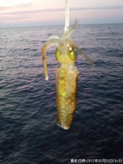 �����ꥤ��