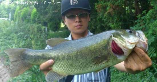 �֥�å��Х�