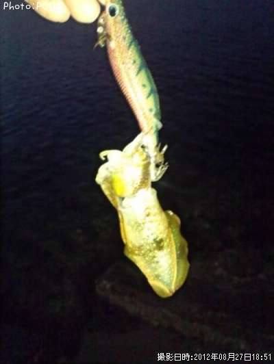 �����ꥤ��