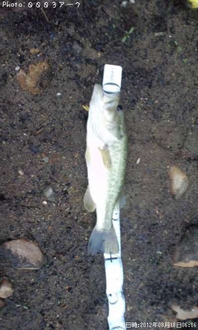 �֥�å��Х�