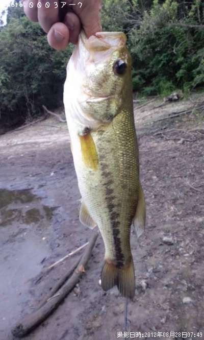 �֥�å��Х�