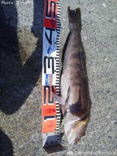 �����ʥ�