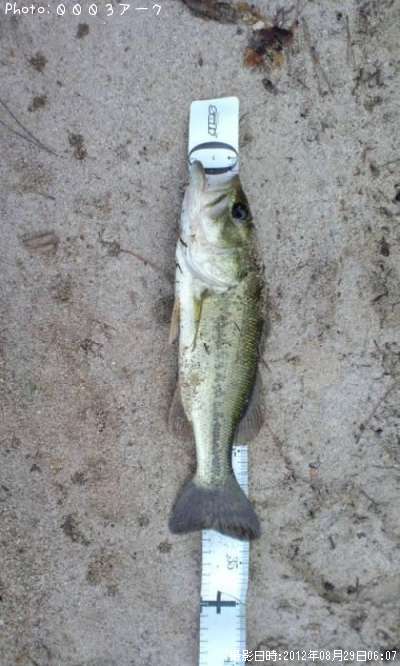 �֥�å��Х�