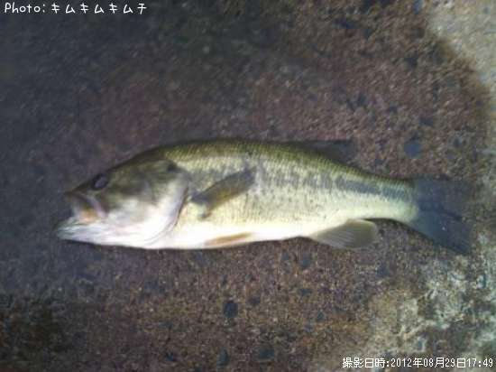 �֥�å��Х�