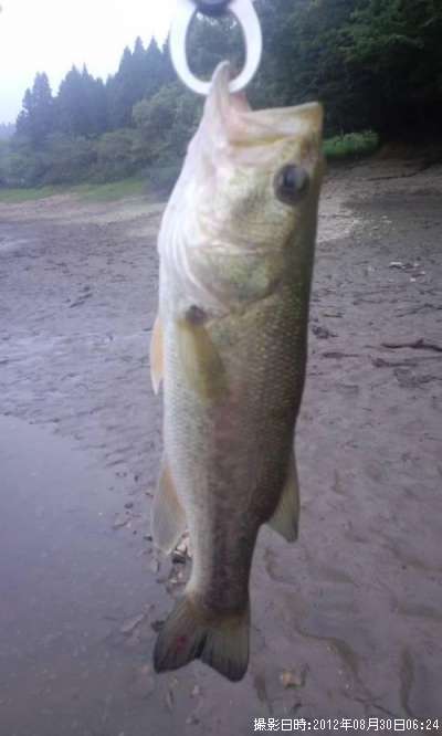 �֥�å��Х�