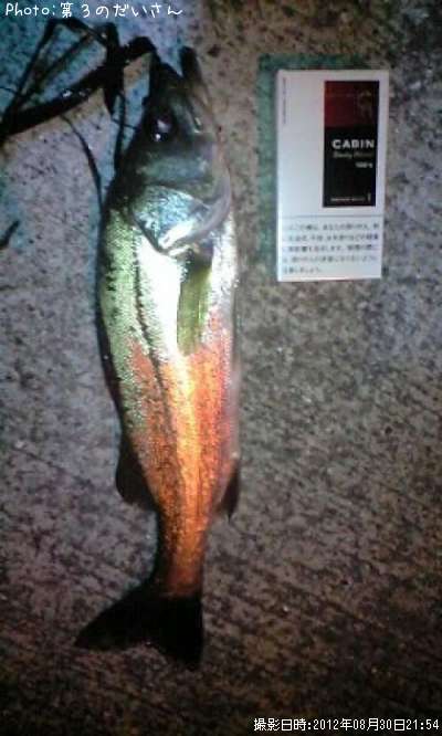 �����Х�