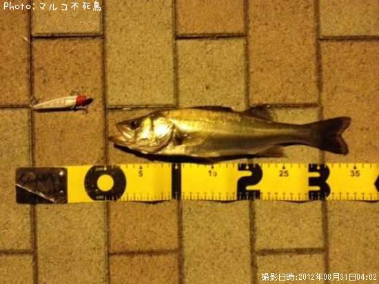 �����Х�