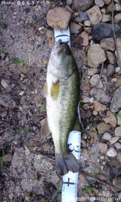 �֥�å��Х�