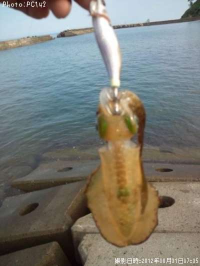 �����ꥤ��