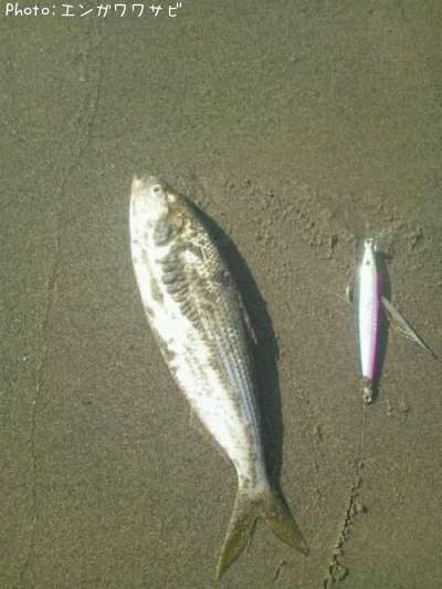 ���Υ���