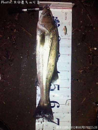 �����Х�