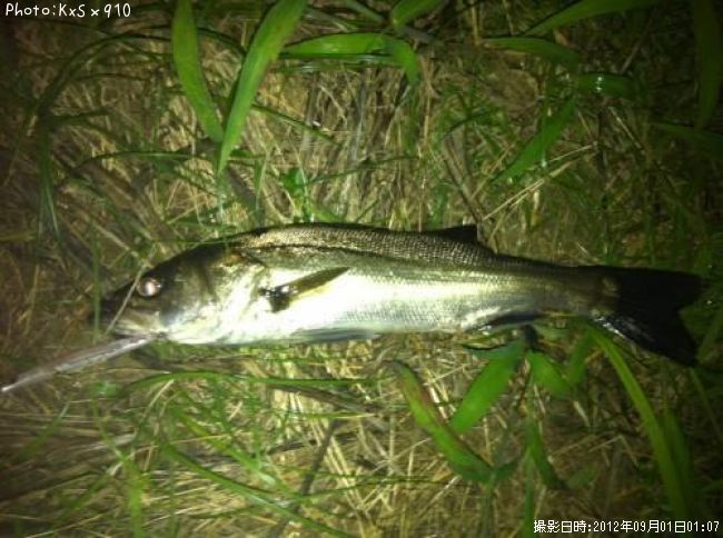 �����Х�