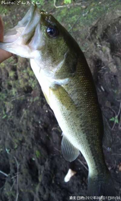 �֥�å��Х�