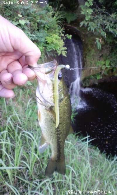 �֥�å��Х�